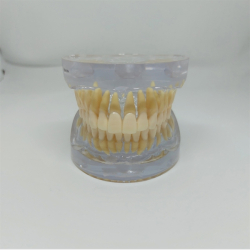 Transparent Kbemodel med Tnder 